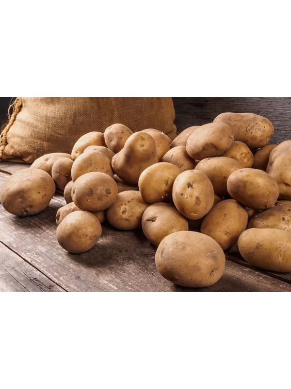 Petit panier (Légumes Bio) – Image 2